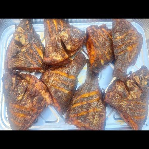 Tilapia S-Half